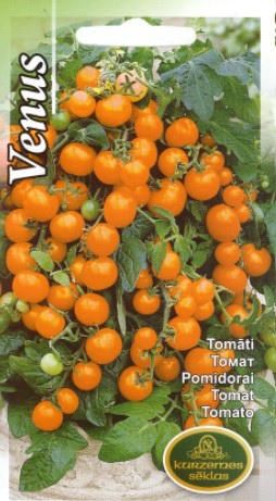 tomat venus